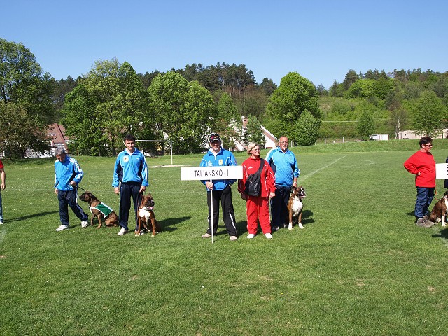 www.atibox.net * www.euroboxer.eu * www.boxergenealogia.eu